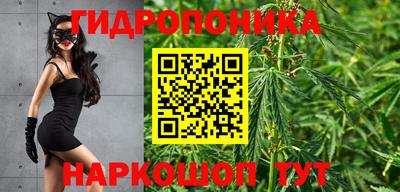 прущие крисы Донской