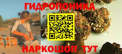 прущие крисы Донской