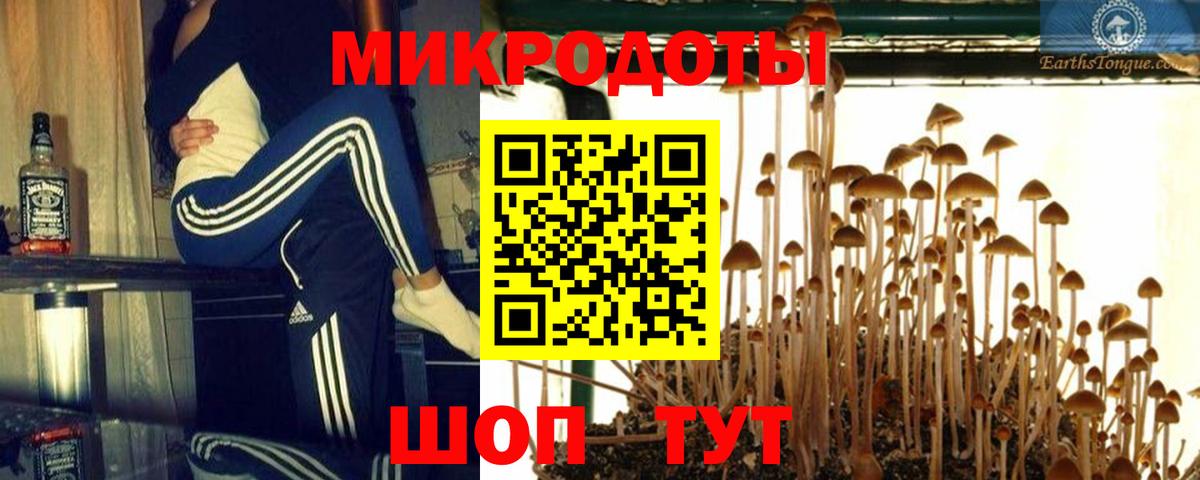 Codein Малоярославец