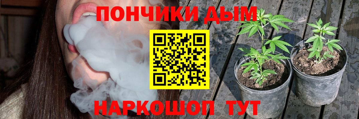 Каннабис OG Kush Малоярославец